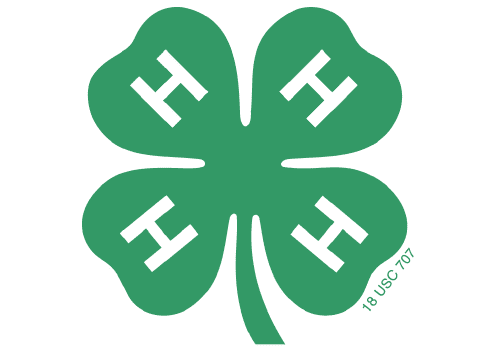 Partner 4-H