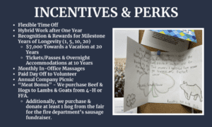 Blog Post - Incentives and Perks